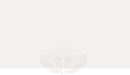 CT Payments footer texture